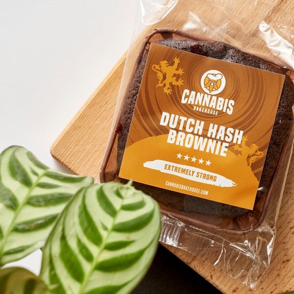 dutch hash brownie in verpakking met plant